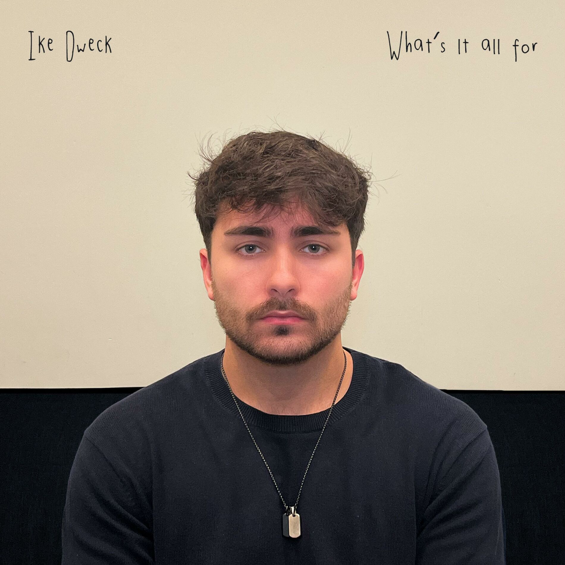Album cover of What's It All For?