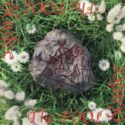 Cover of The Fool