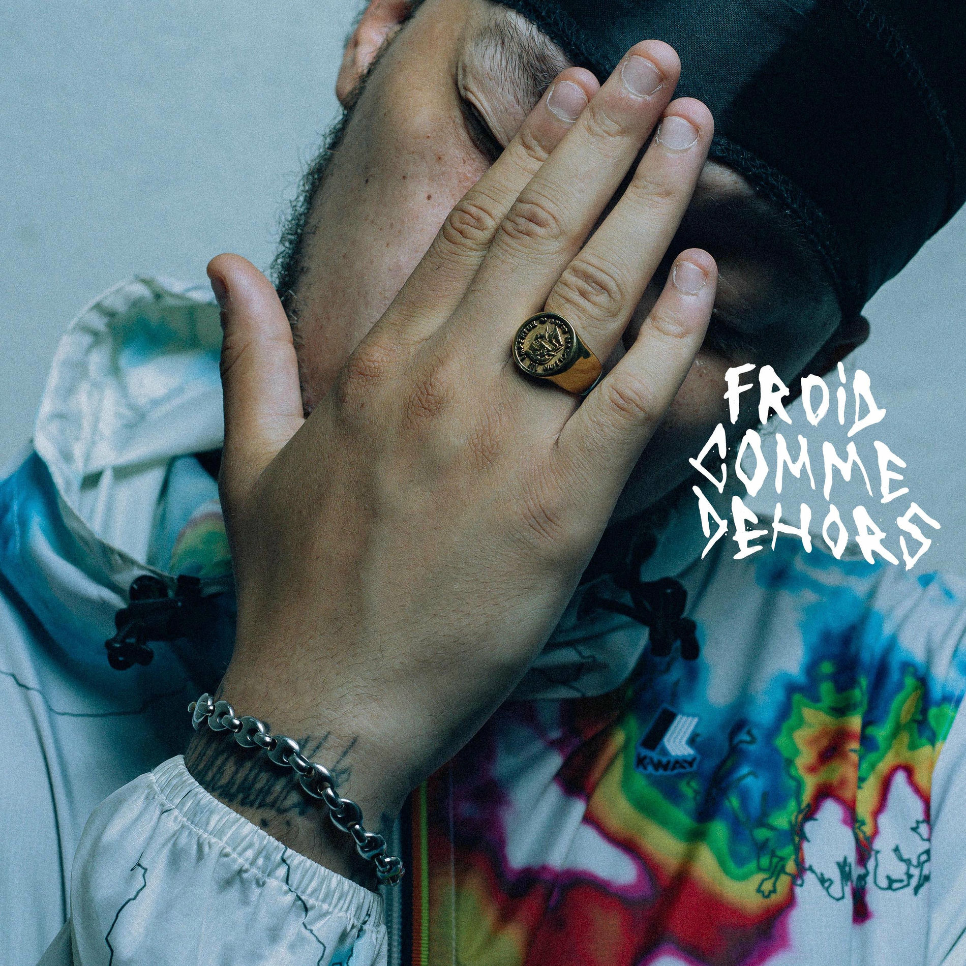 Album cover of FROIDCOMMEDEHORS
