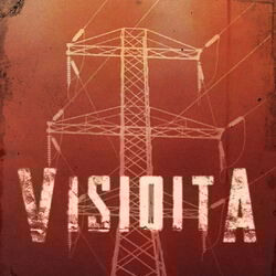 Cover of Visioita