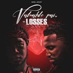Cover of Valuble Pain = Losses