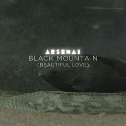 Cover of Black Mountain (Beautiful Love) (Radio Edit)