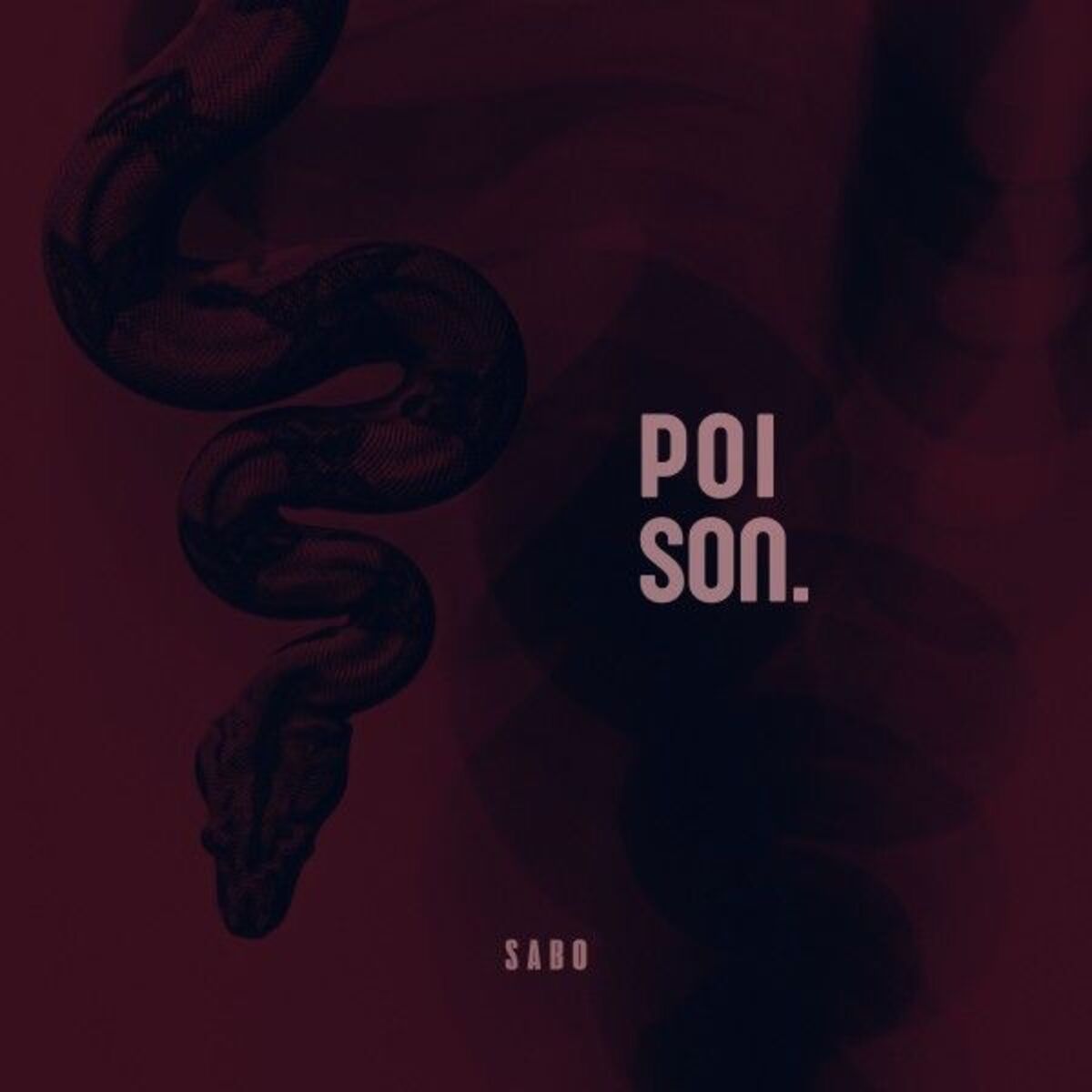 Album cover of Poison
