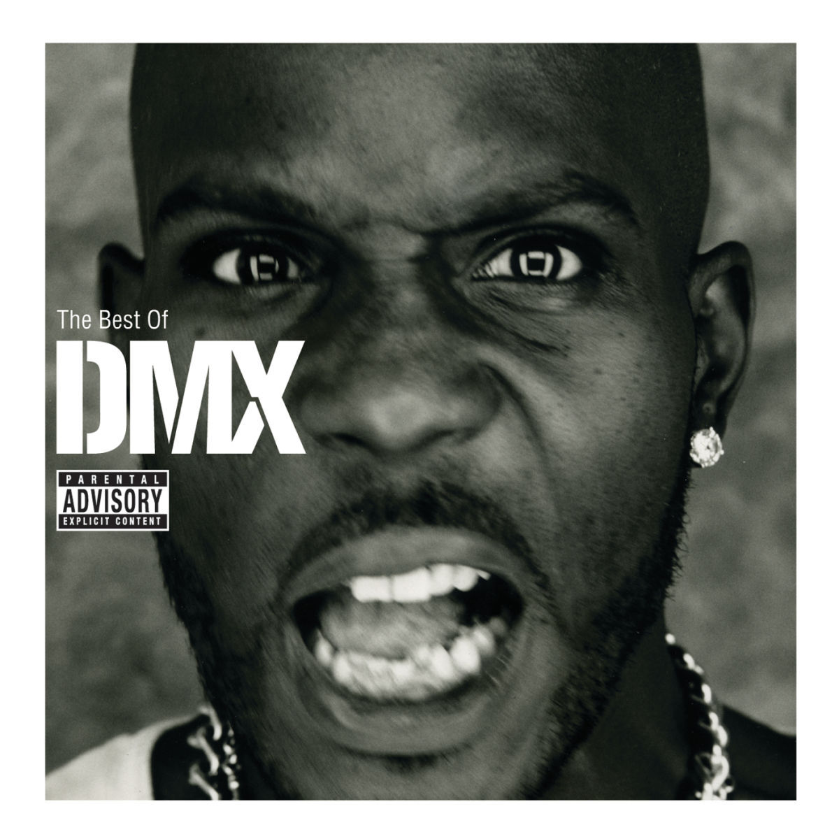 Album cover of X Gon' Give It To Ya