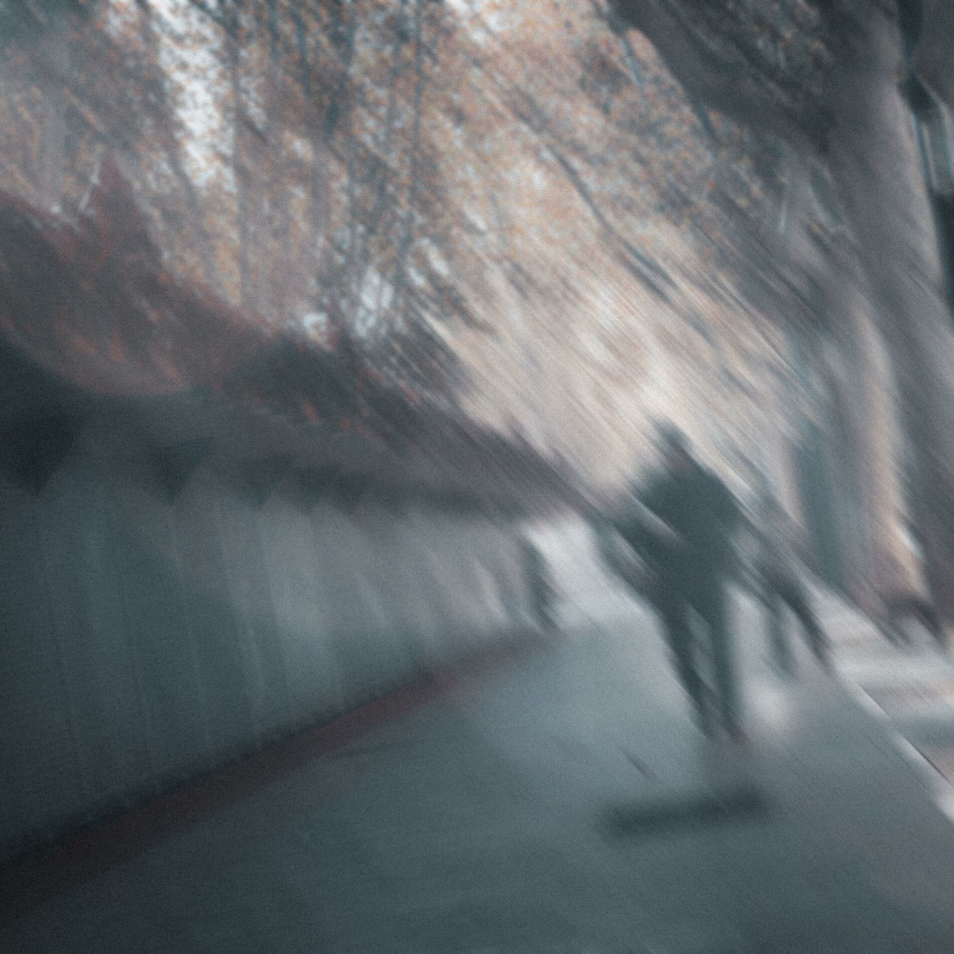 Album cover of Haunted