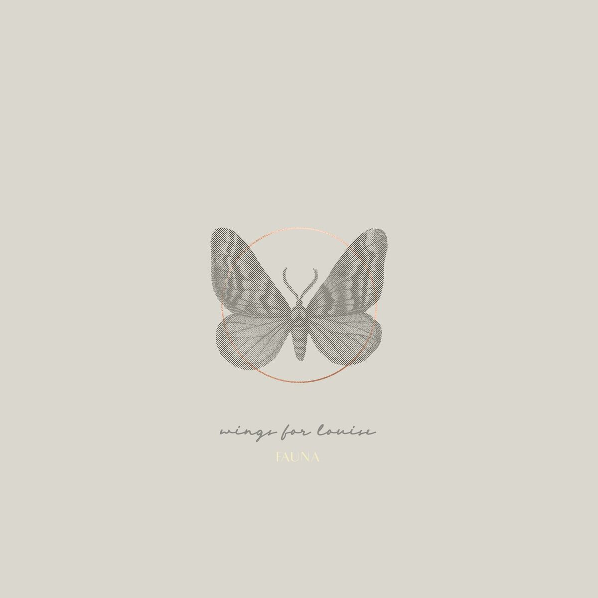 Album cover of Chrysalide