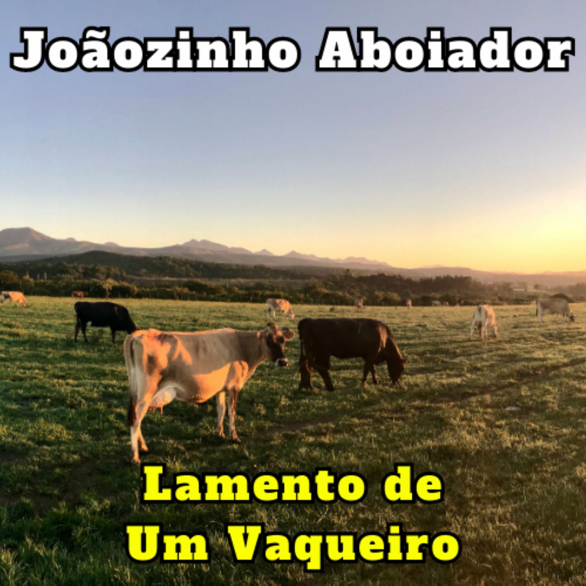 Album cover of Lamento de Um Vaqueiro
