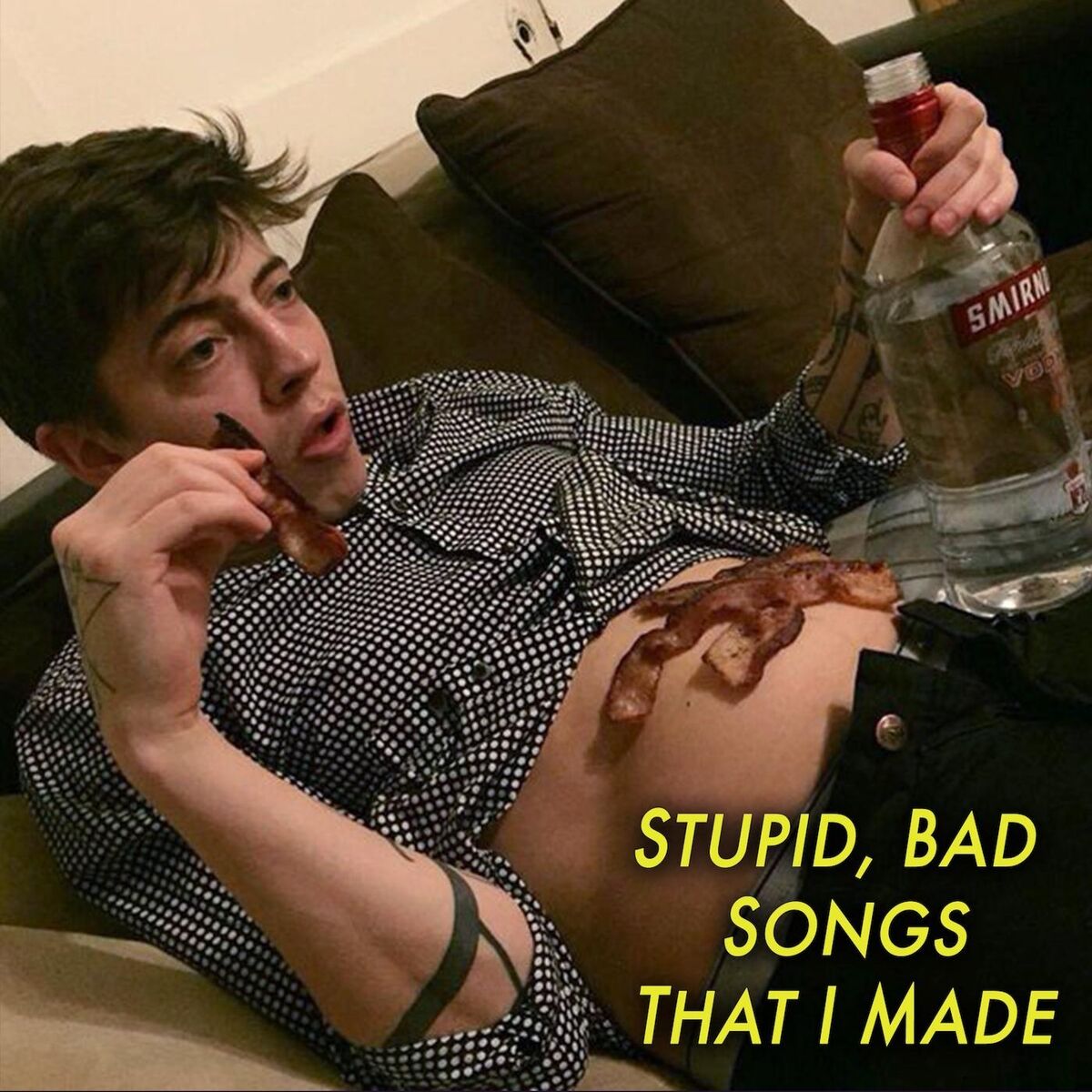 Album cover of Really Stupid Bad Songs That I Made