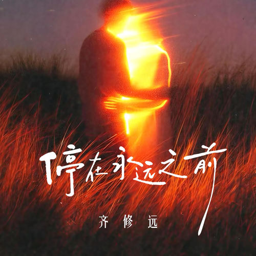 停在永远之前