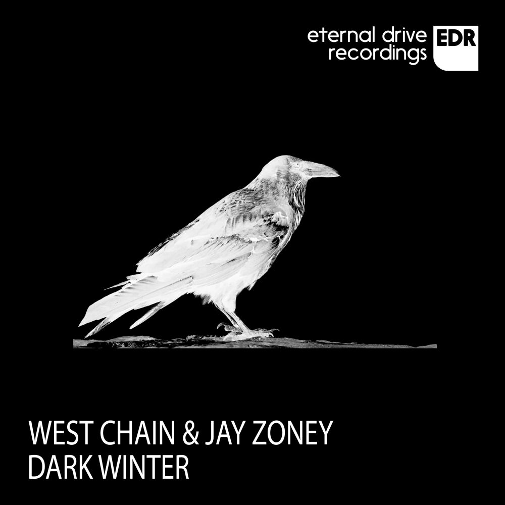 Picture of Dark Winter