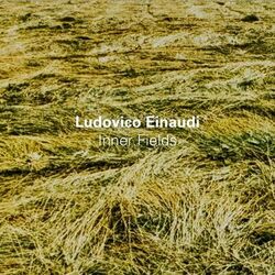 Cover of Inner Fields