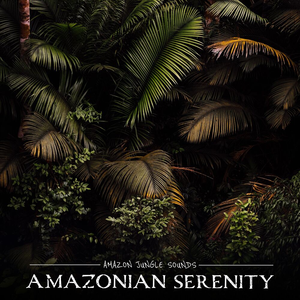 Picture of Amazonian Serenity