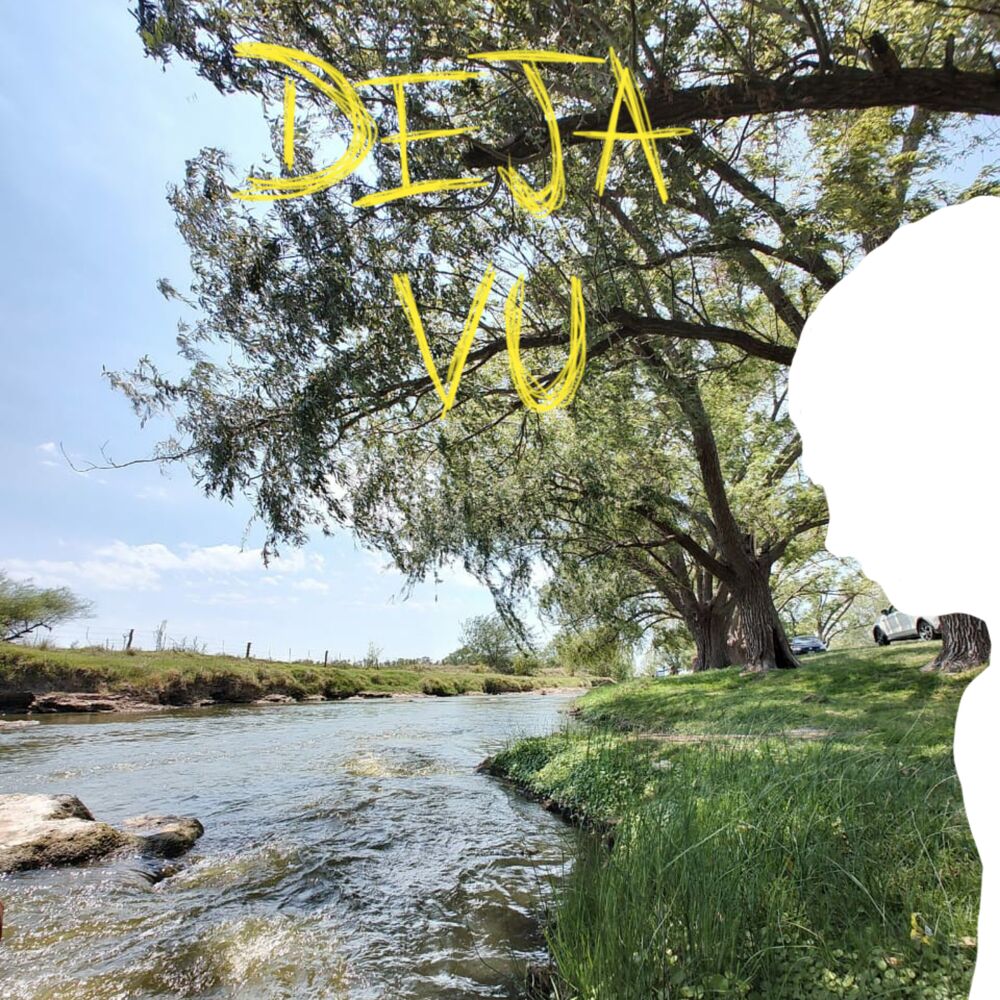Picture of Deja Vu
