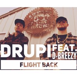 Cover of Flight Back