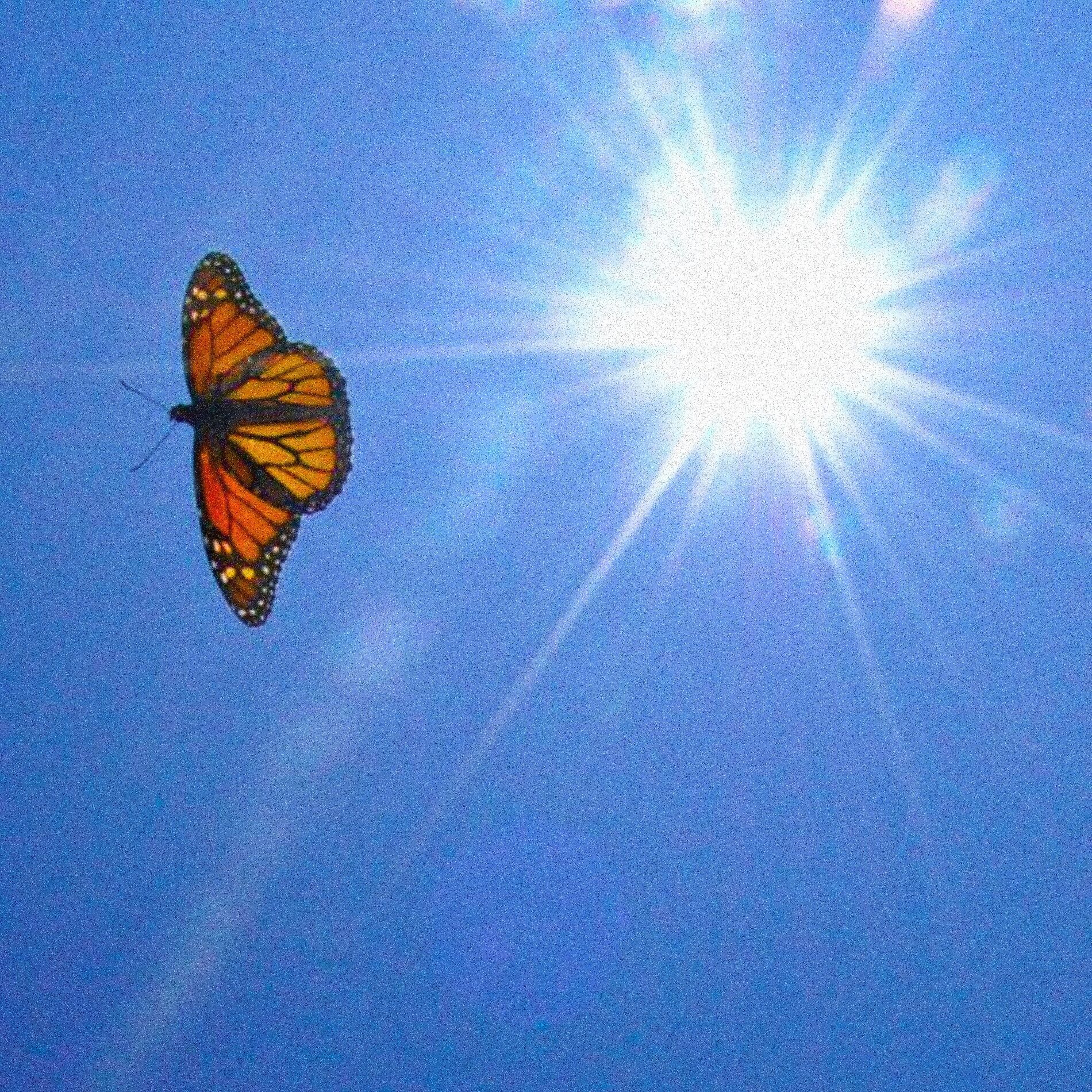 Album cover of The Vision