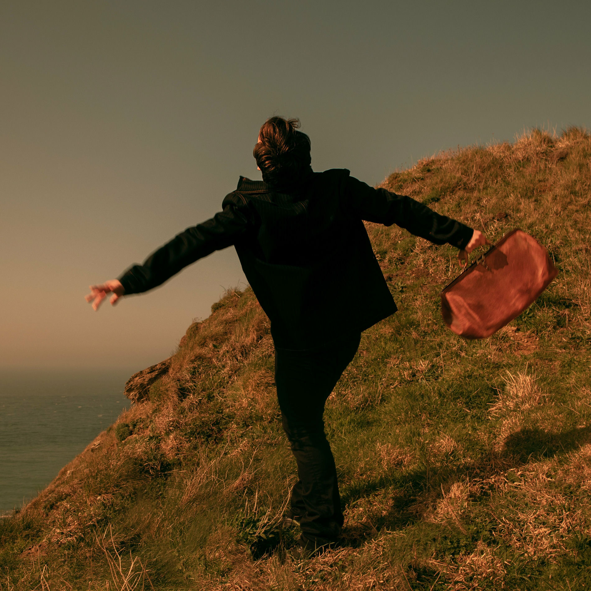 Album cover of Aline