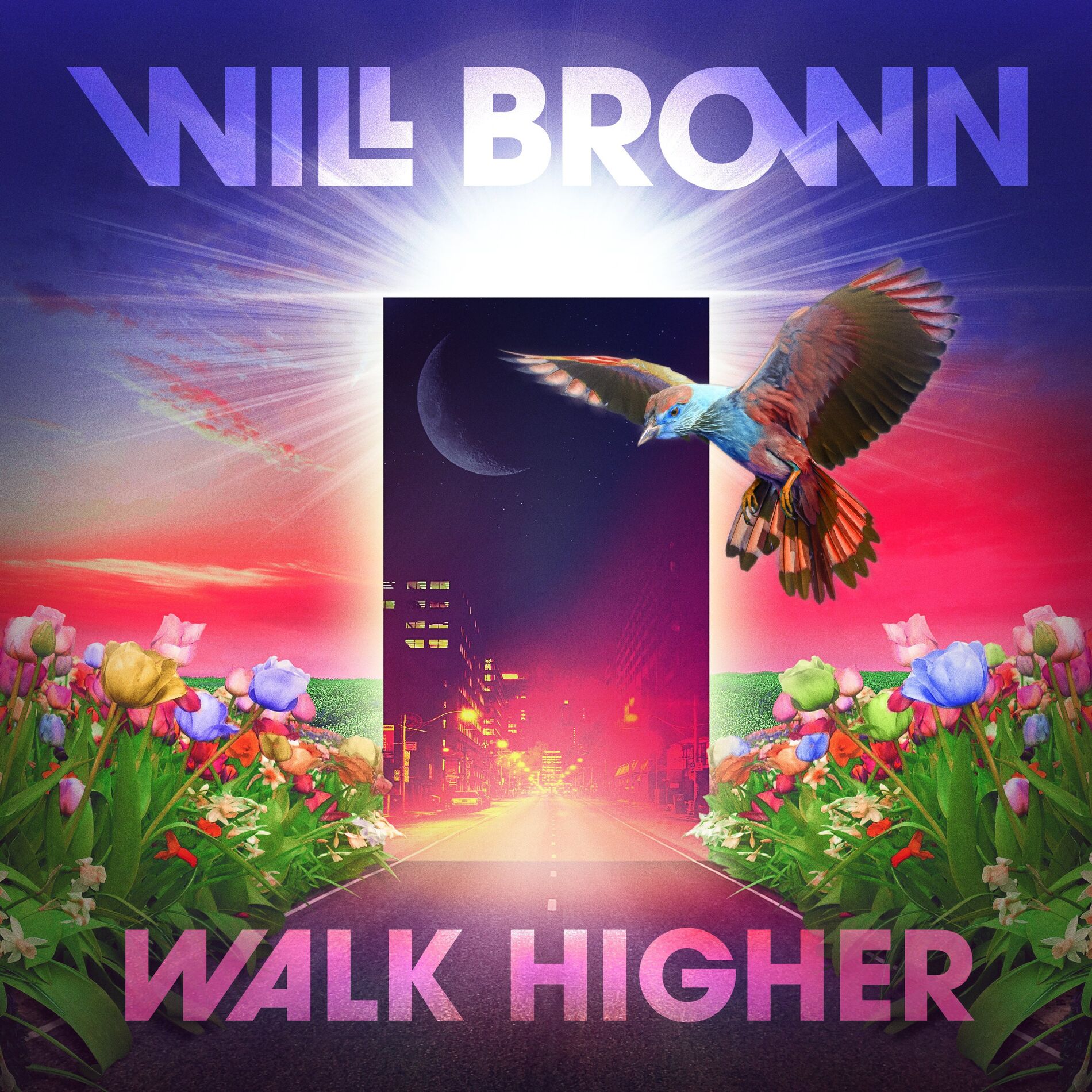 Album cover of Walk Higher