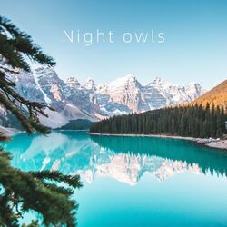 Cover of Night owls
