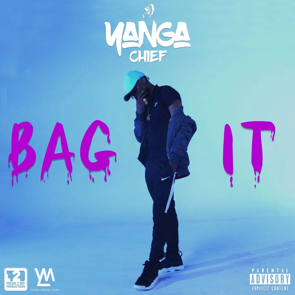 Picture of Bag It