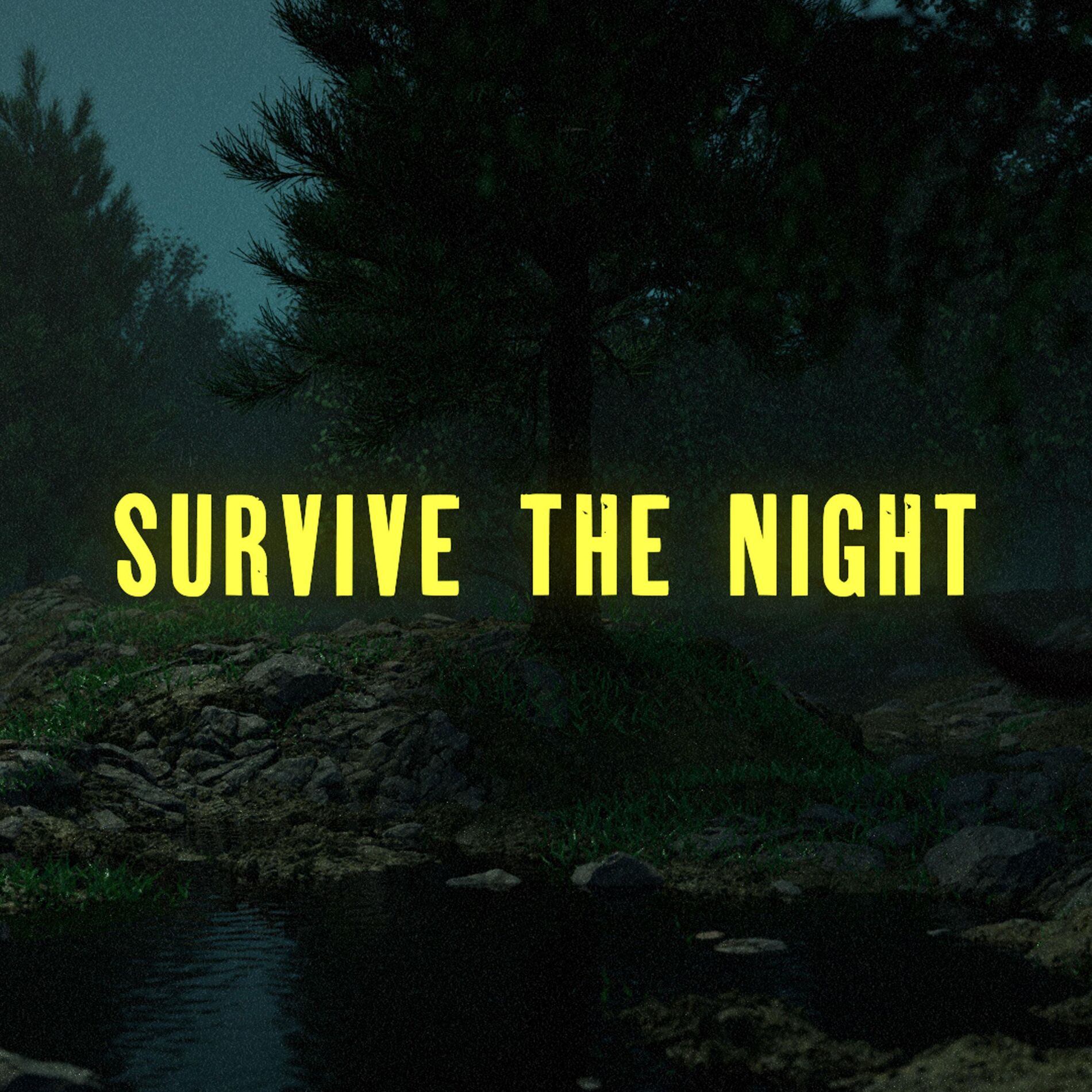 Album cover of Survive the Night
