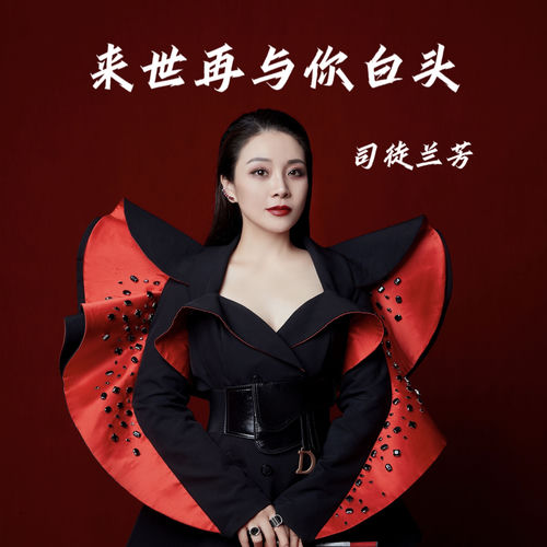 来世再与你白头
