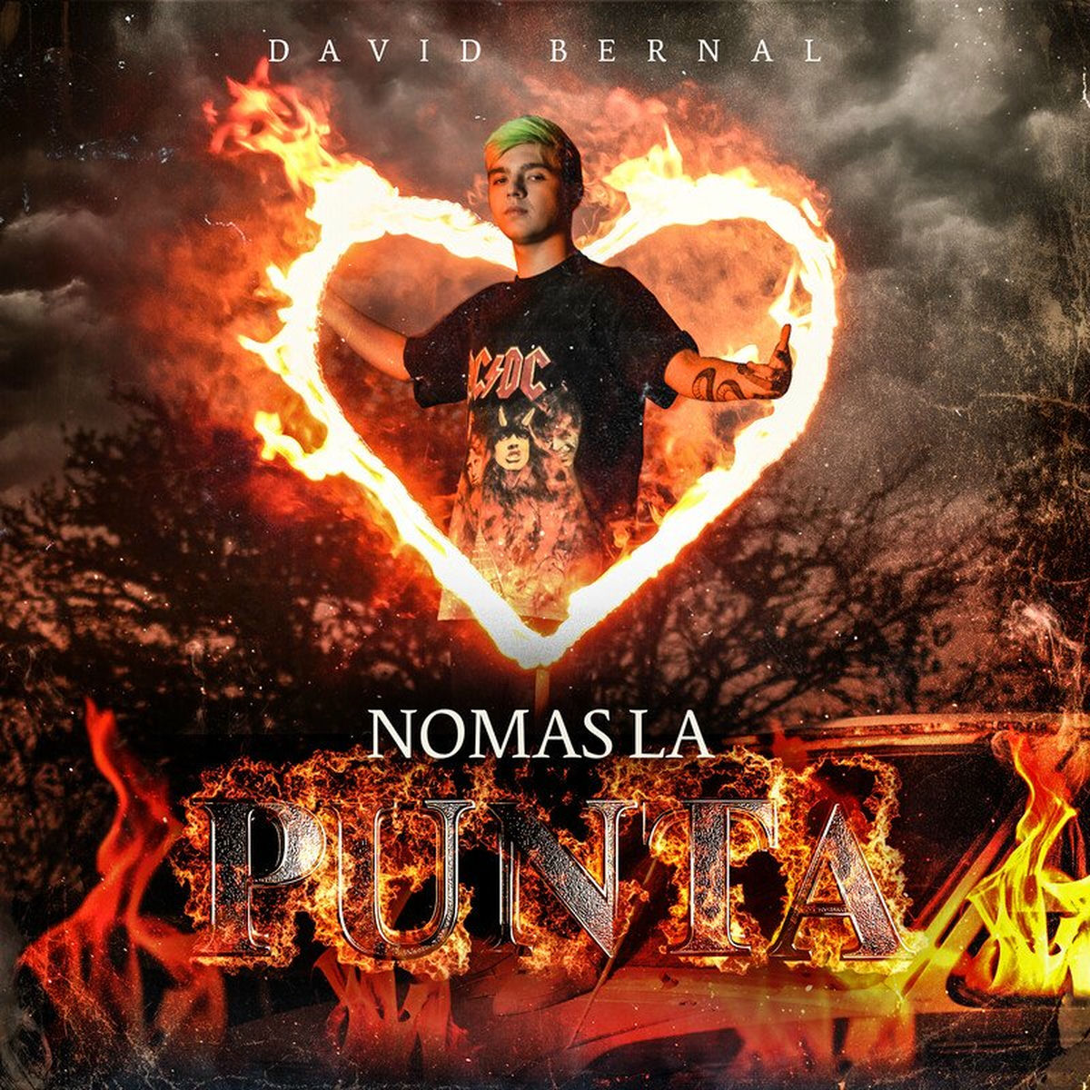 Album cover of Nomas La Punta