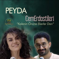 Cover of PortakalAltı Kayıtları: Kalenin Önüne Ekerler Darı