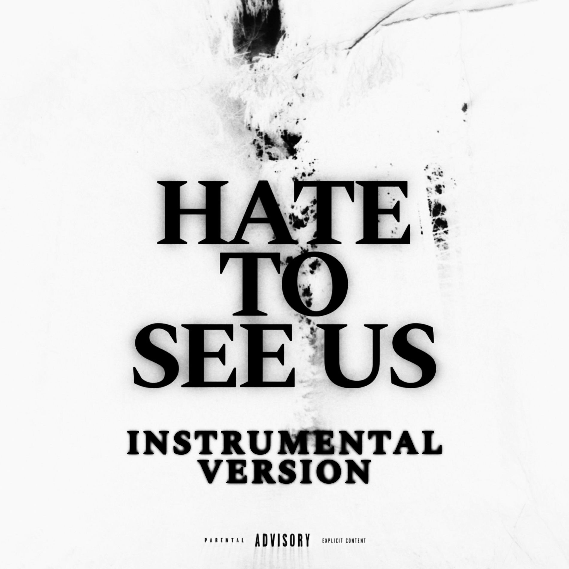 Album cover of HATE TO SEE US (Instrumental Version)