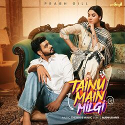 Cover of Tainu Main Milgi