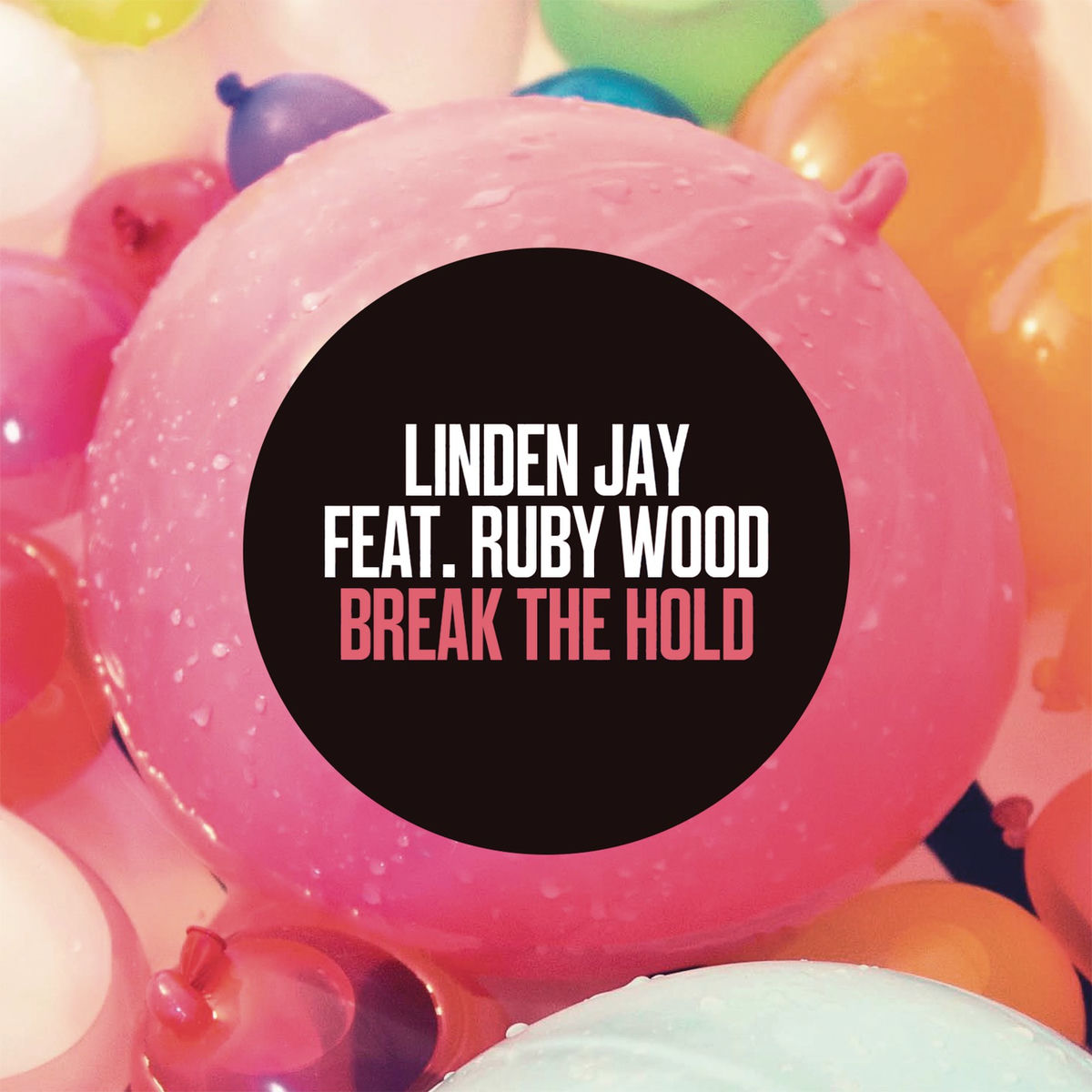 Album cover of Break the Hold (feat. Ruby Wood)