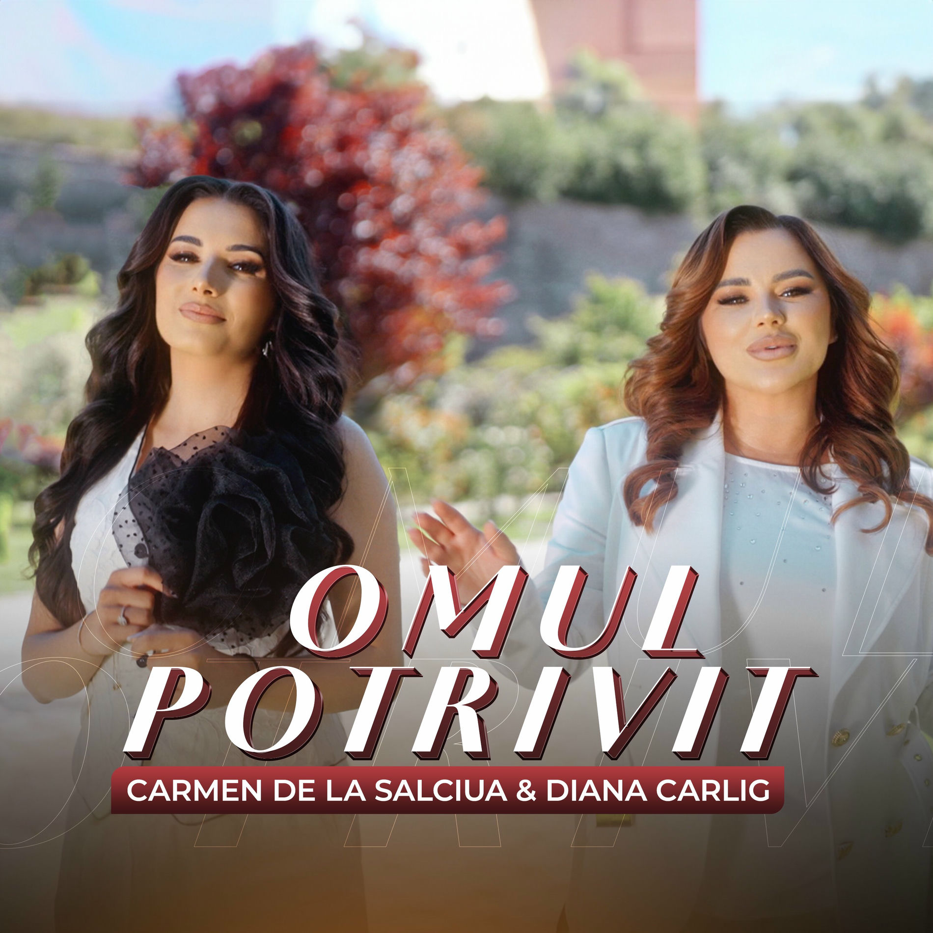 Album cover of Omul potrivit