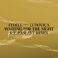 Waiting For The Night (Radio Slave Remix)