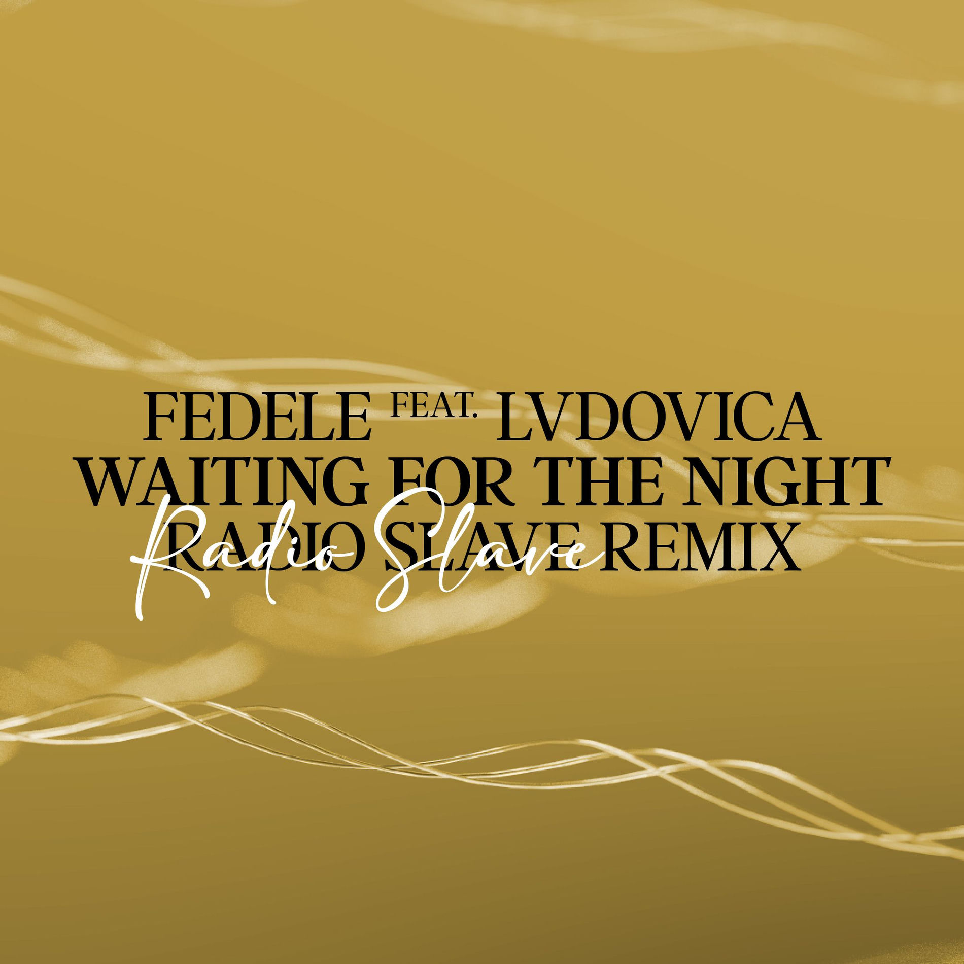 Album cover of Waiting For The Night (Radio Slave Remix)