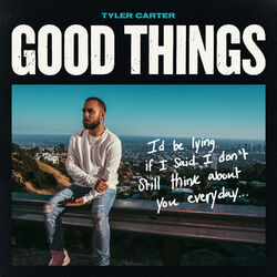 Cover of Good Things