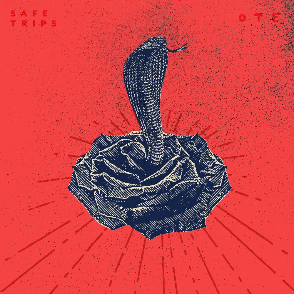 Picture of Safe Trips