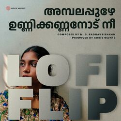 Cover of Ambalappuzhe Unnikkannanodu