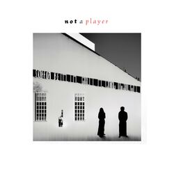 Cover of Not a player