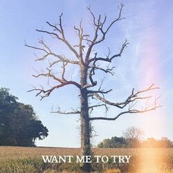 Cover of Want Me To Try
