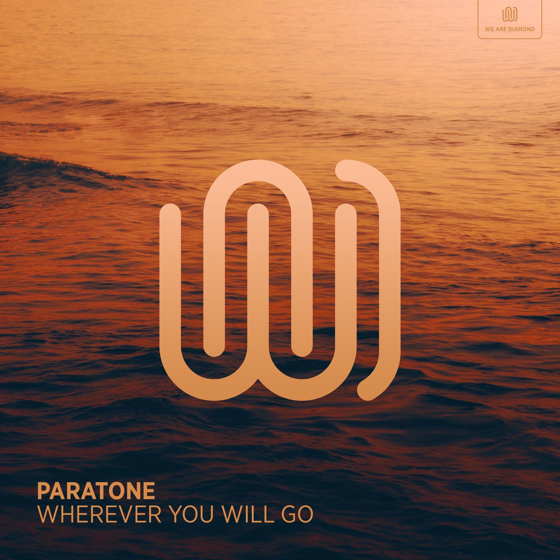 Album cover of Wherever You Will Go