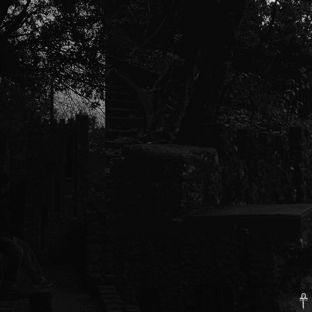 Picture of coven