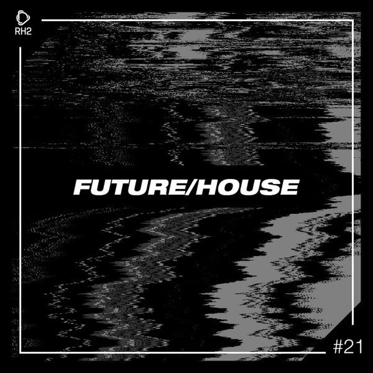 Album cover of Future/House #21