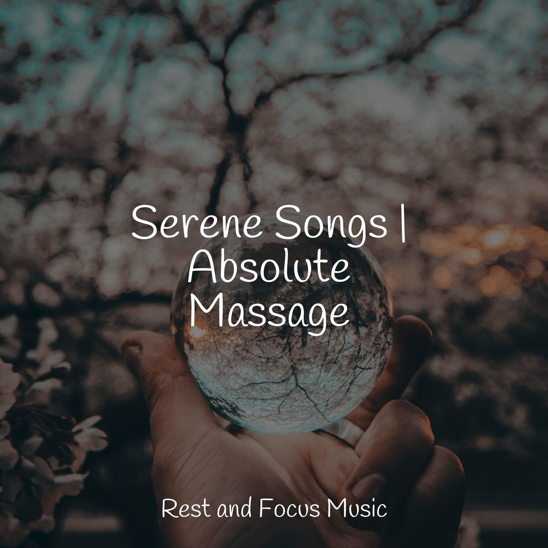 Album cover of Serene Songs | Absolute Massage