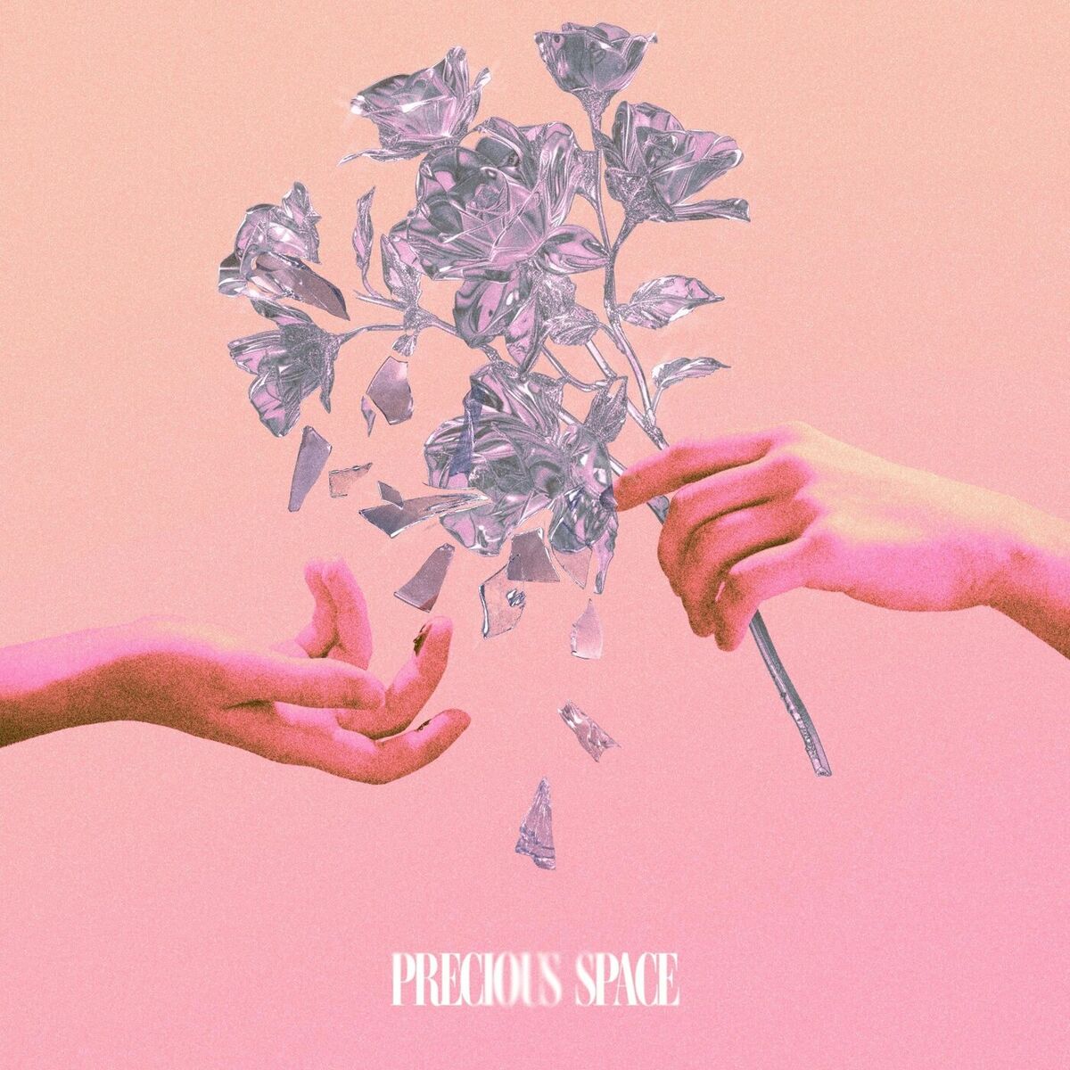 Album cover of Precious Space