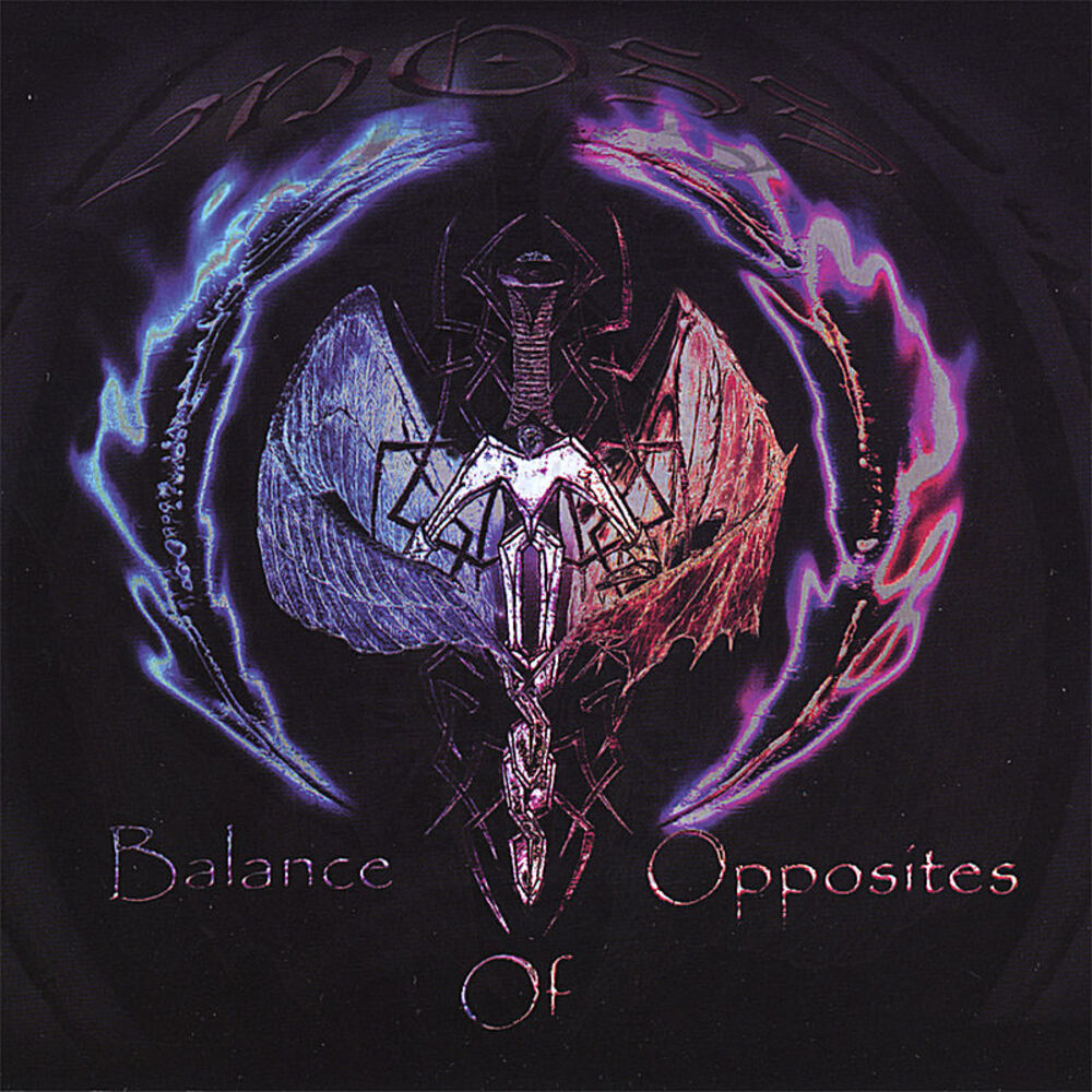 Picture of Balance Of Opposites