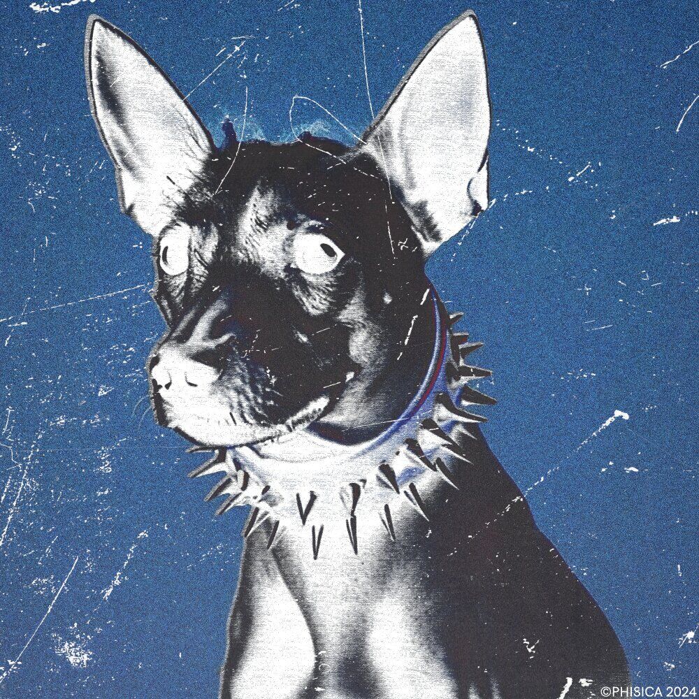 Picture of PERRO RAVEROSO