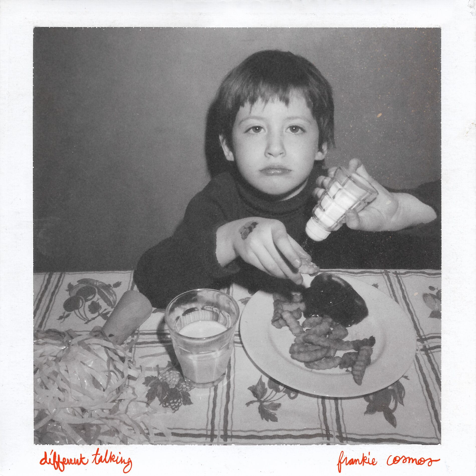 Album cover of Vanity