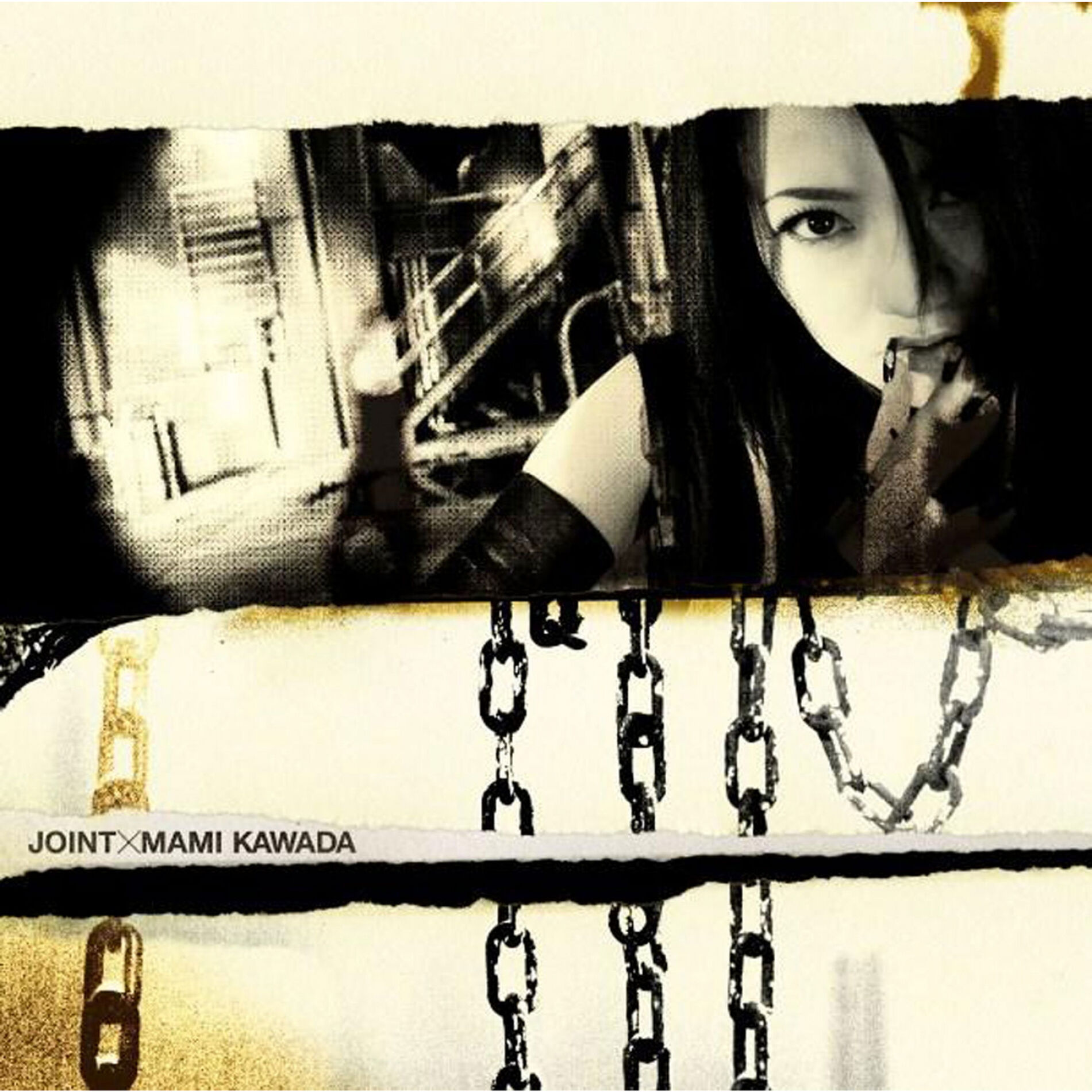 Album cover of JOINT