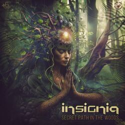 Cover of Secret path in the Woods