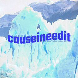 Cover of causeineedit