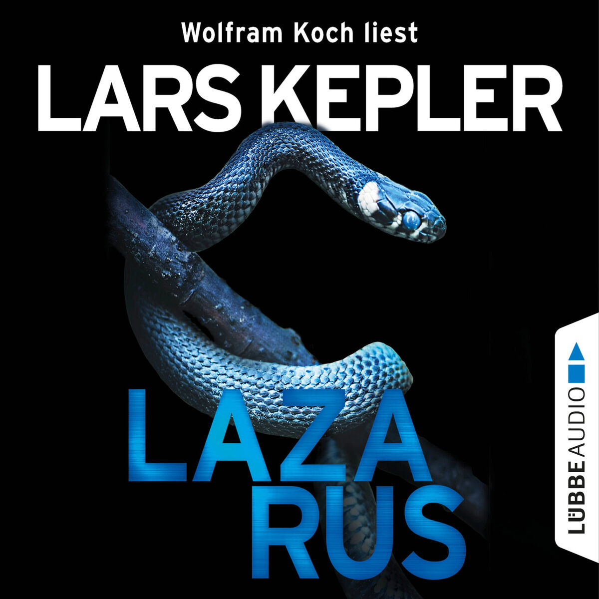 Album cover of Lazarus - Joona Linna 7 (Gekürzt)